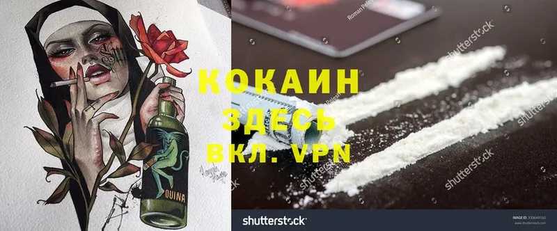 как найти закладки  Югорск  Cocaine Fish Scale 