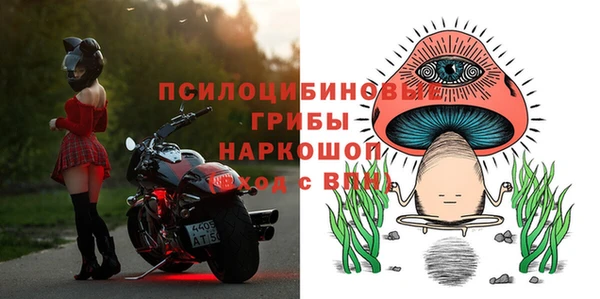 прущие грибы Верея